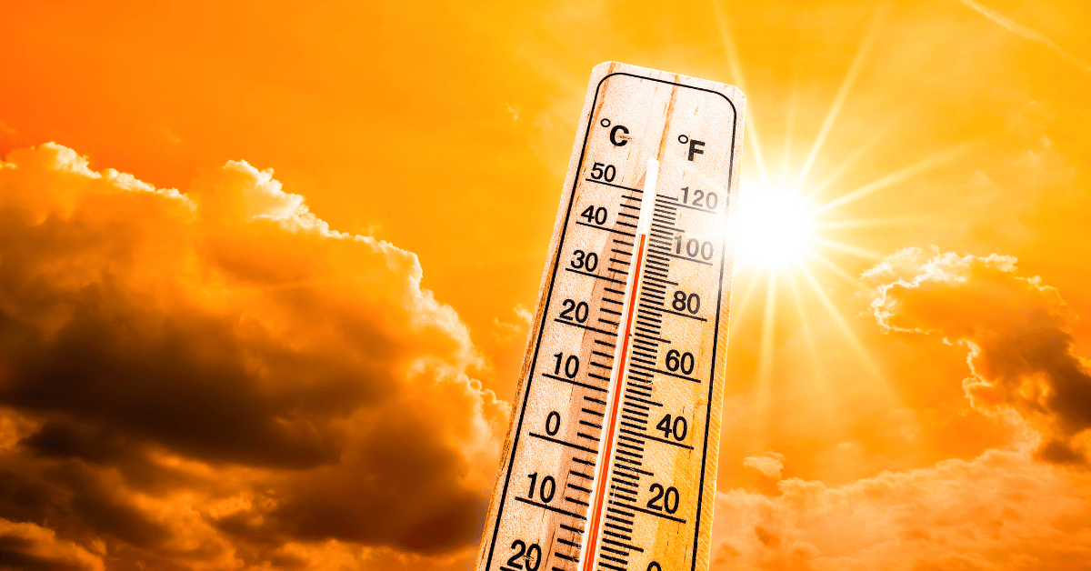 5 top tips for staying cool in hot weather | Careium